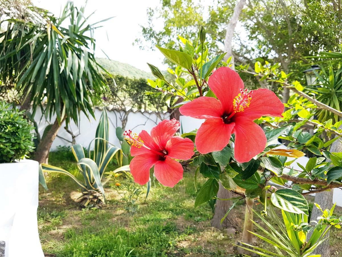 Villa Del Sogno Parghelia Luaran gambar